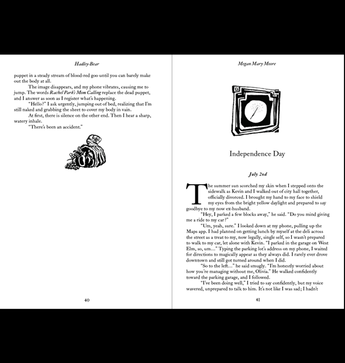 Interior Layout and Illustrations 2